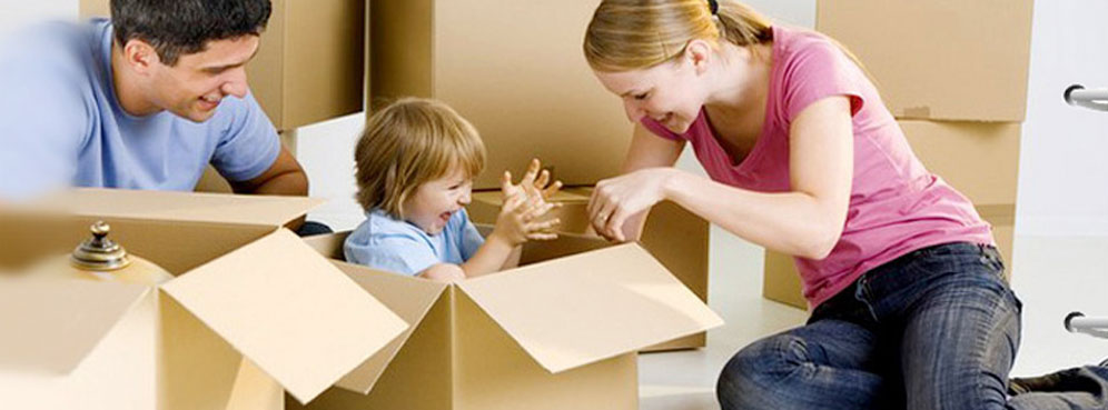Movers and Packers in Noida